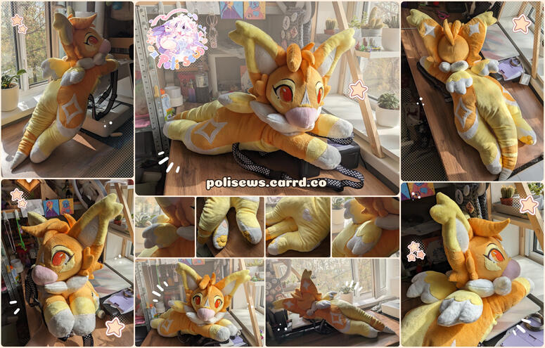 big backpack for Mysha