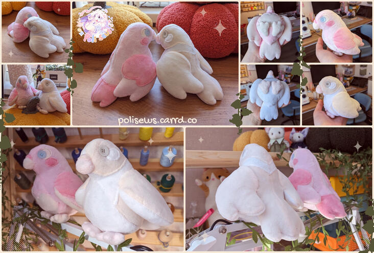 For Shurya_SHISH and MangoBird